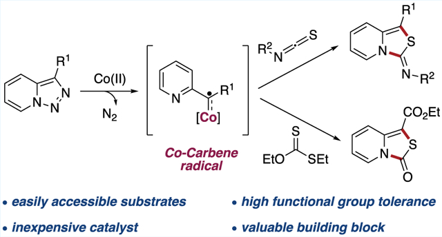 graphic file with name nihms-1637104-f0001.jpg