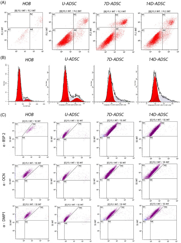 FIGURE 3