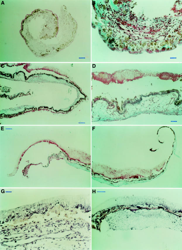 Figure 2  