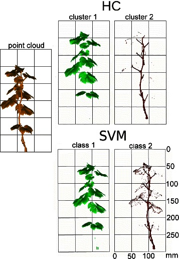 Fig. 5