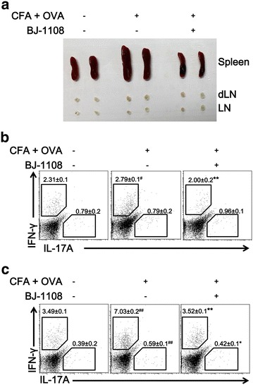 Fig. 4