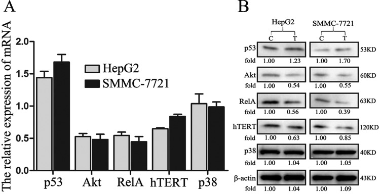 Figure 6.