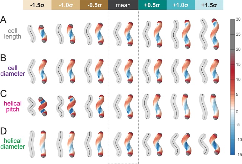 Figure 3—figure supplement 3.