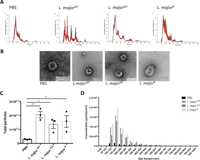 Fig 7