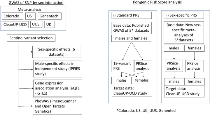 Figure 1: