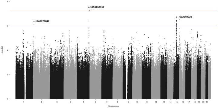 Figure 2: