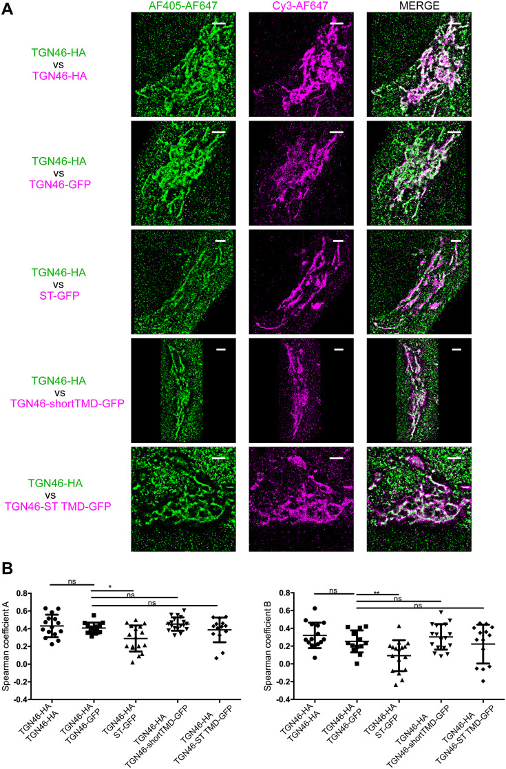 Figure 4—figure supplement 2.