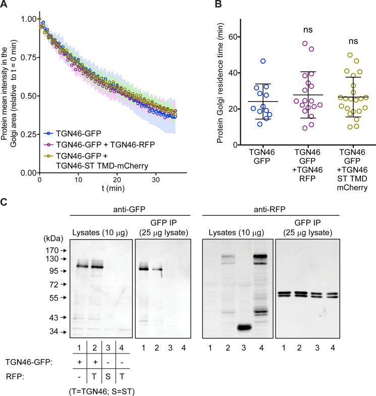 Figure 4—figure supplement 3.