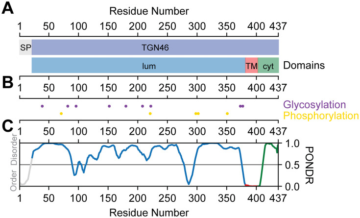 Figure 7—figure supplement 3.