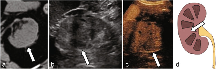 Fig. 5