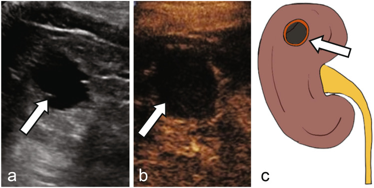 Fig. 6