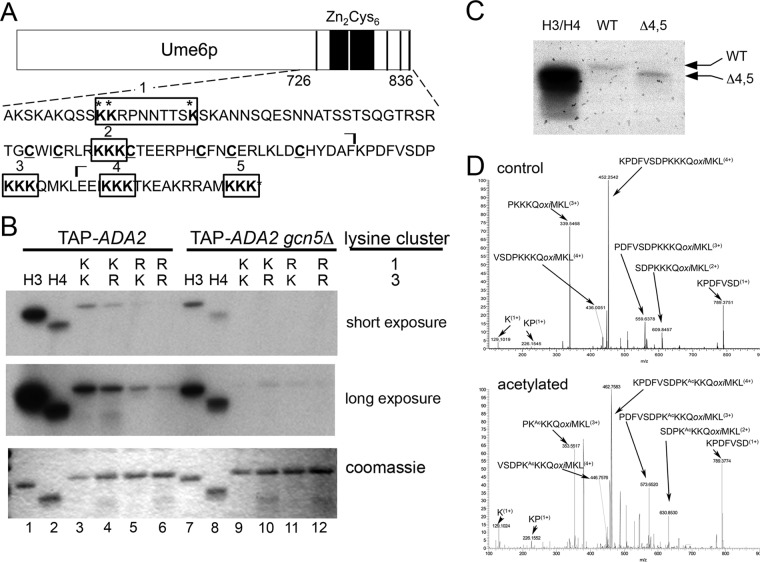 FIG 1