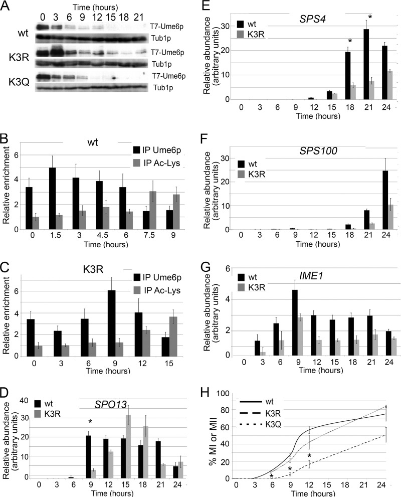 FIG 6