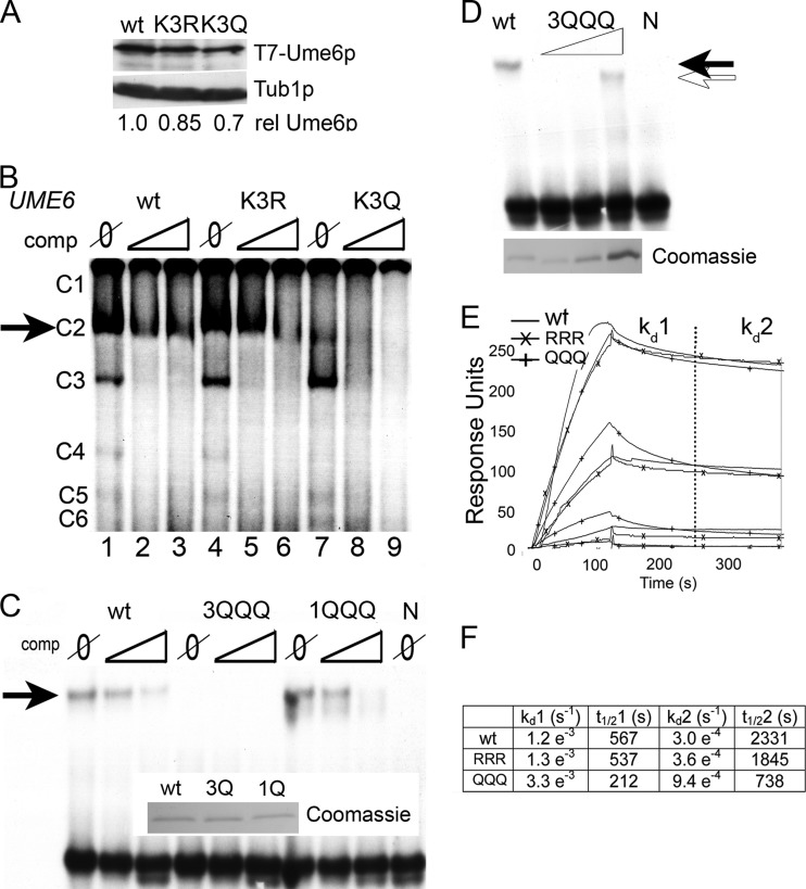 FIG 3