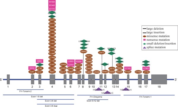 Fig. 8.