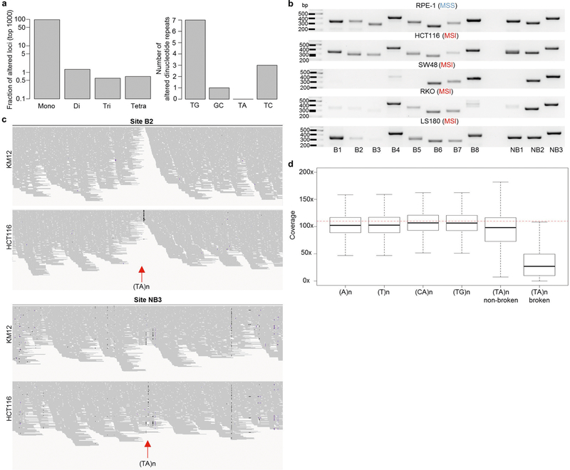 Extended Data Fig. 6 |