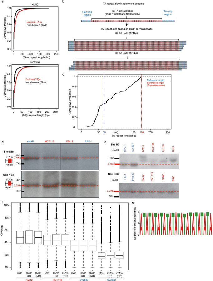 Extended Data Fig. 7 |