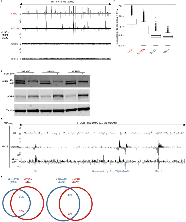 Extended Data Fig. 5 |