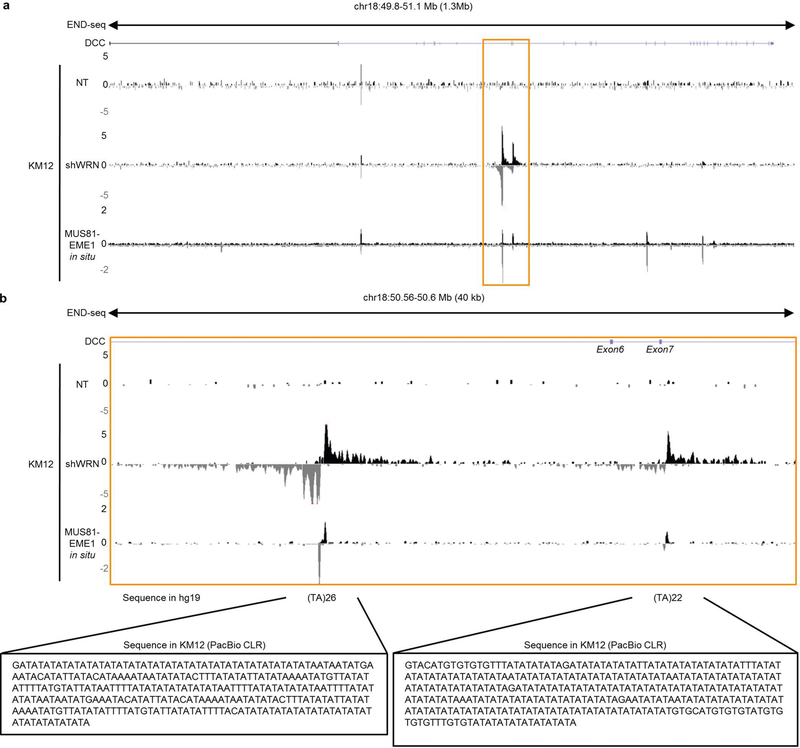 Extended Data Fig. 10 |