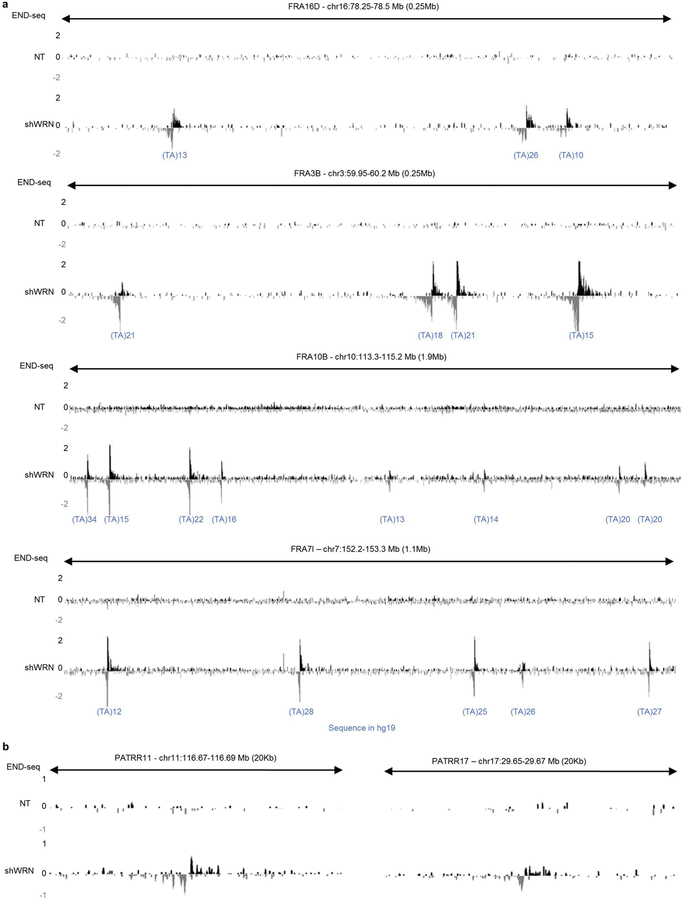 Extended Data Fig. 3 |