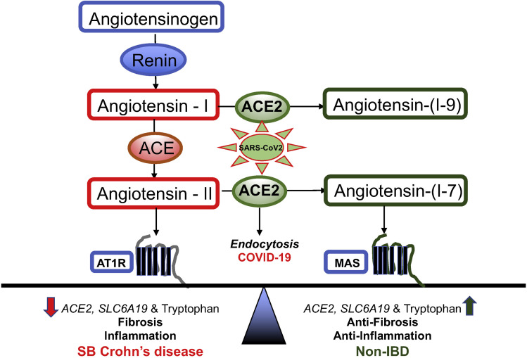 Figure 4