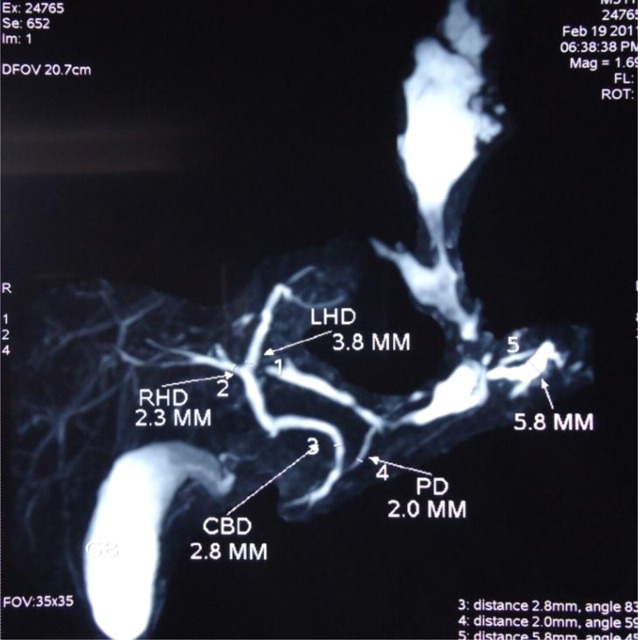 Figure 3