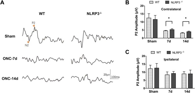 Fig. 6