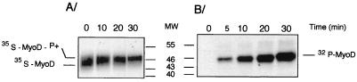 FIG. 7