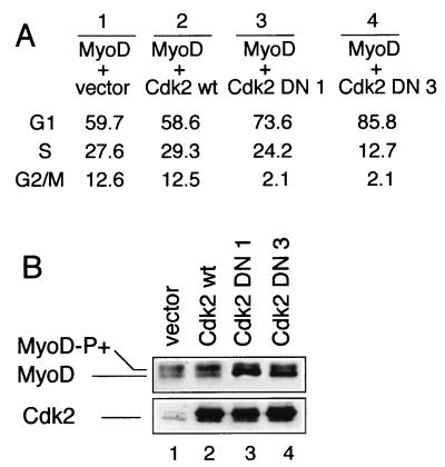 FIG. 6