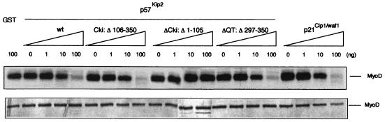 FIG. 8