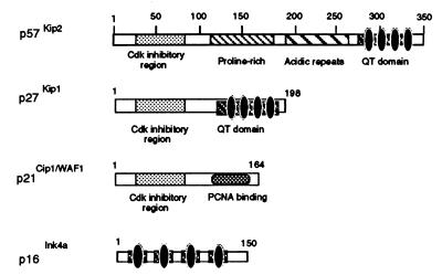 FIG. 8