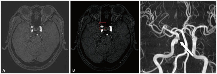 Fig. 5