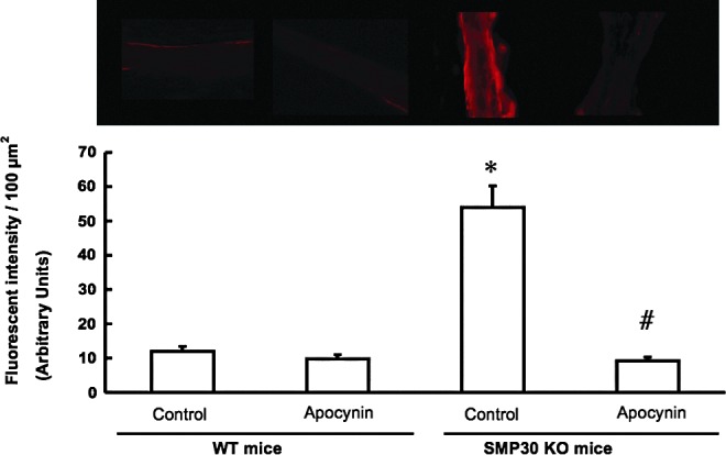 FIG. 7.