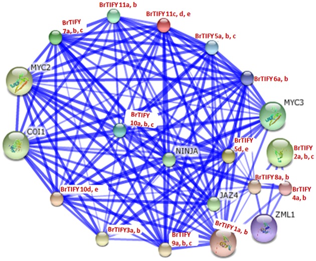 Figure 11