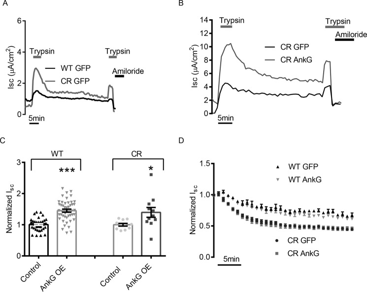 FIGURE 4.