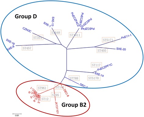 Fig. 2