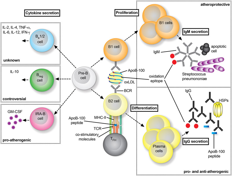 Figure 4: