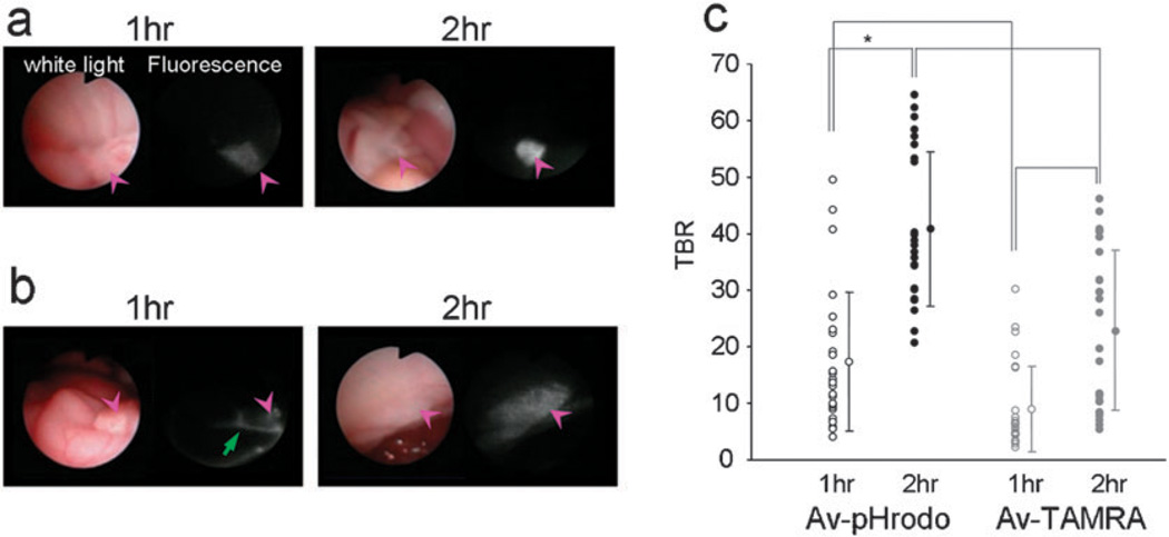 Fig. 4