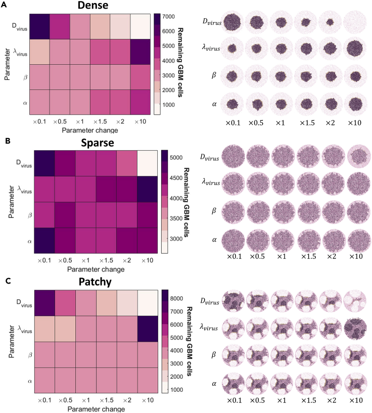 Figure 5