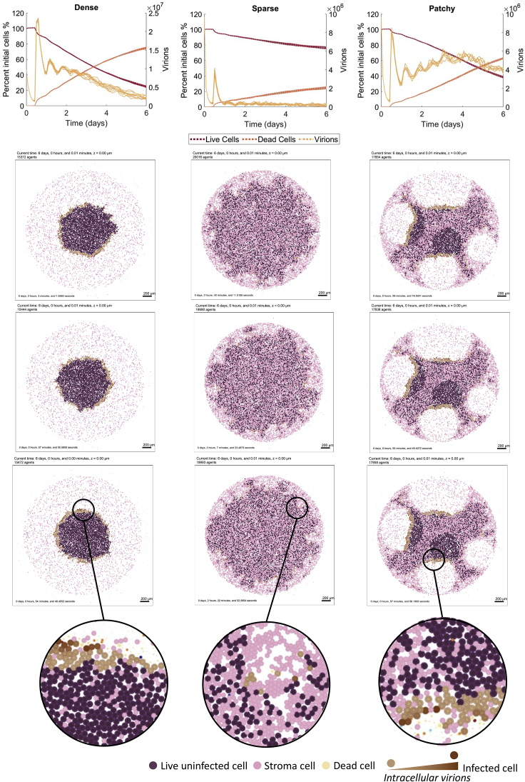 Figure 4