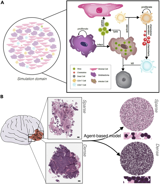 Figure 2