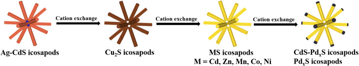 Scheme 1