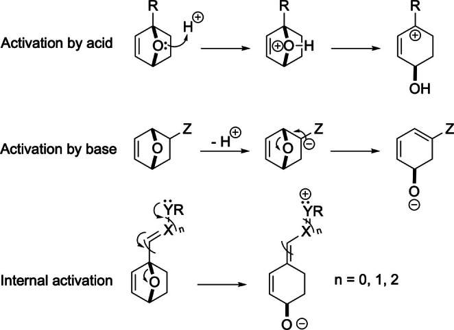 Scheme 19