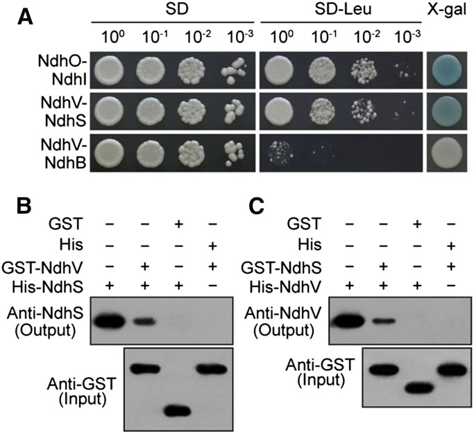 Figure 6.