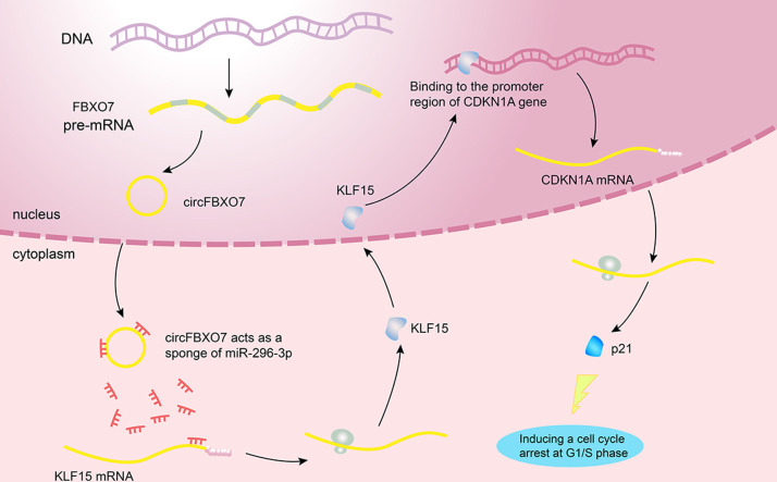 Image, graphical abstract