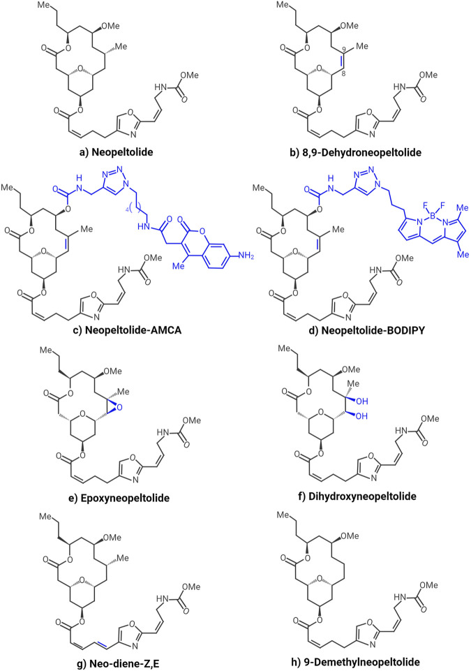 FIGURE 3