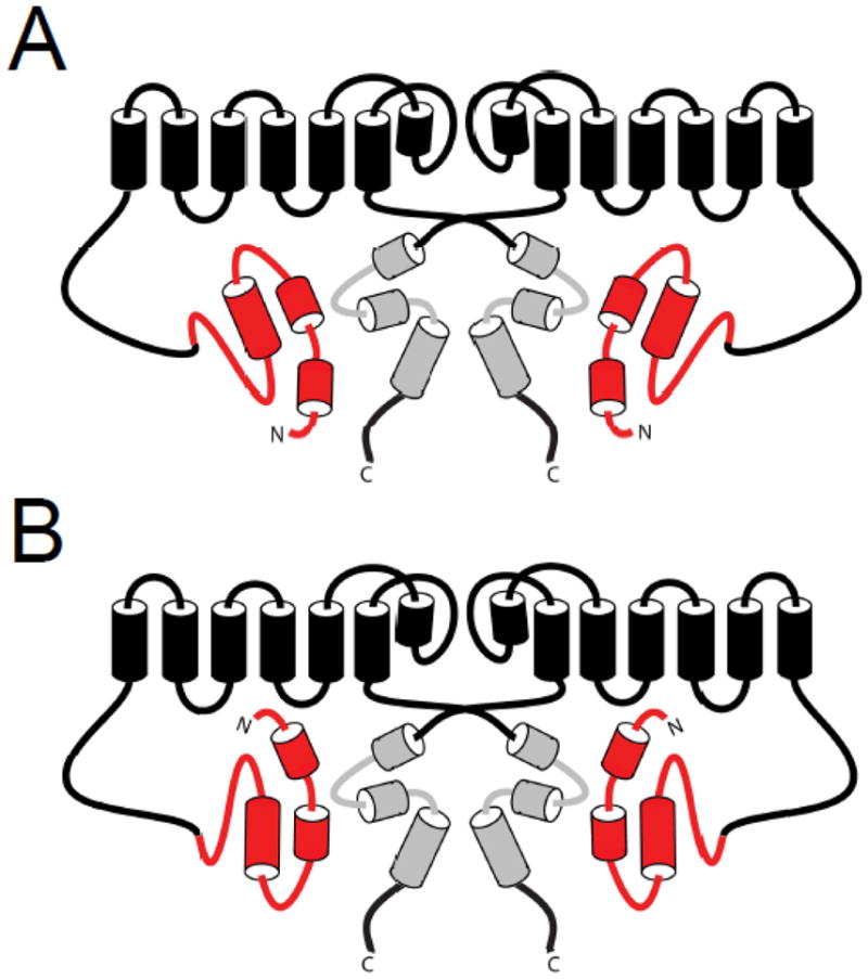 Fig. 8