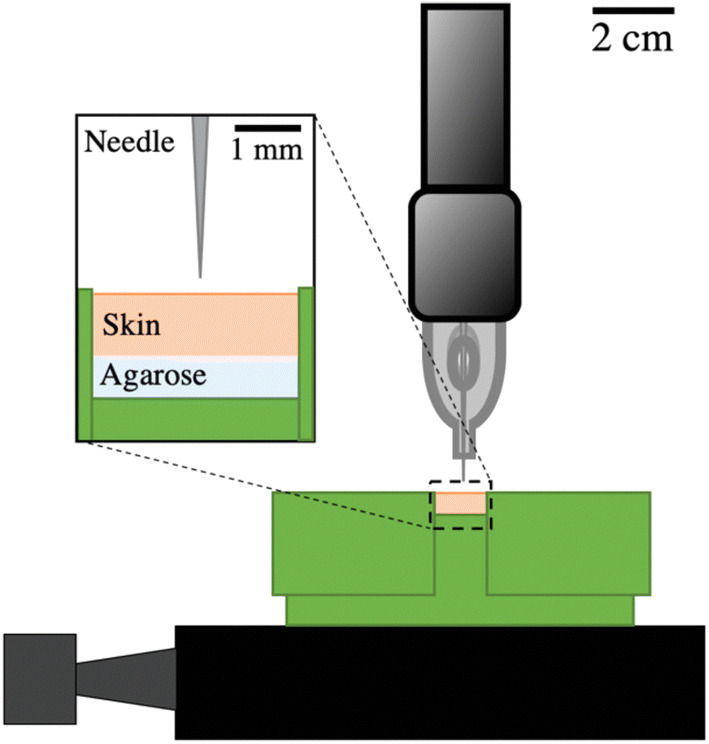 Figure 1