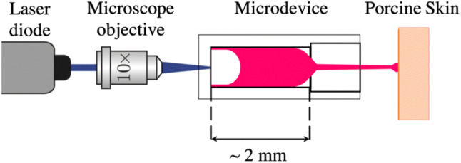 Figure 2