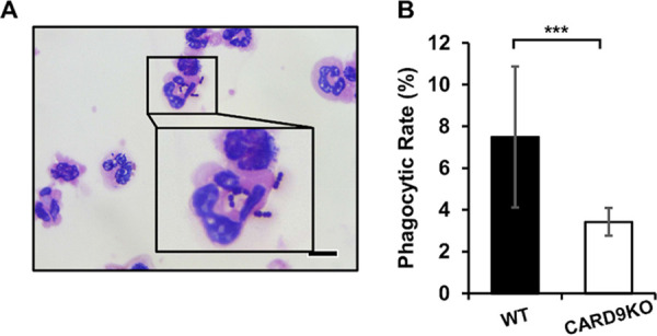 FIG 5